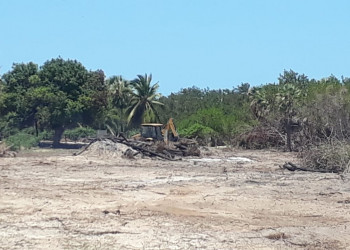 CREA flagra desmatamento igual a 10 campos de futebol no litoral do PI